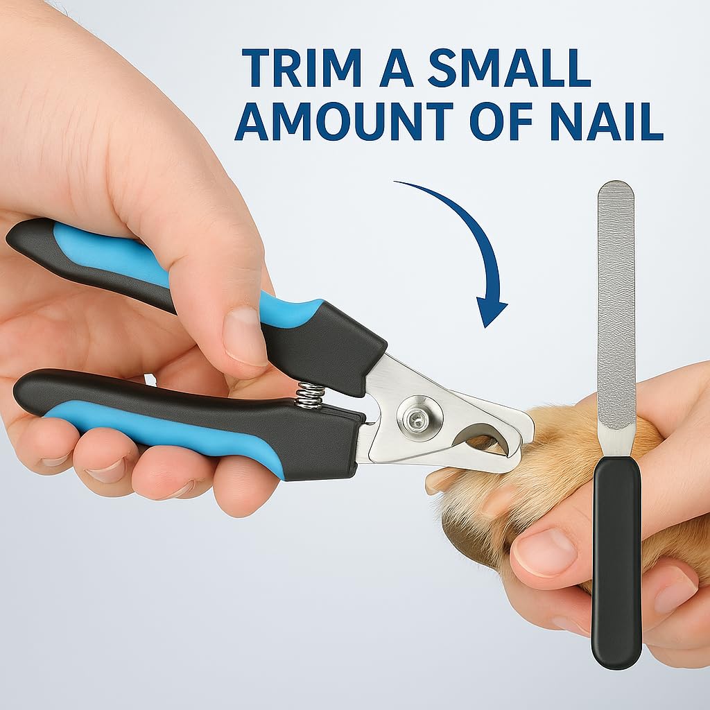 Pet Nail Clippers & File – Ergonomic Grip (Blue/Black)