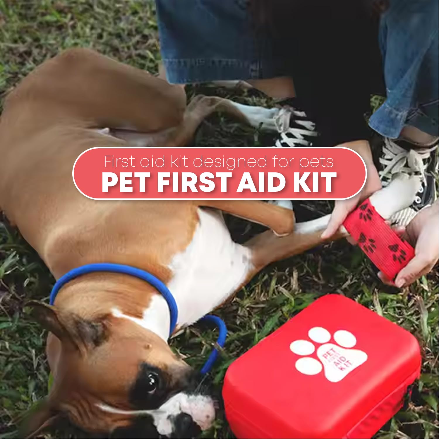 Pet First Aid Kit – Waterproof Travel Bag for Dogs & Cats