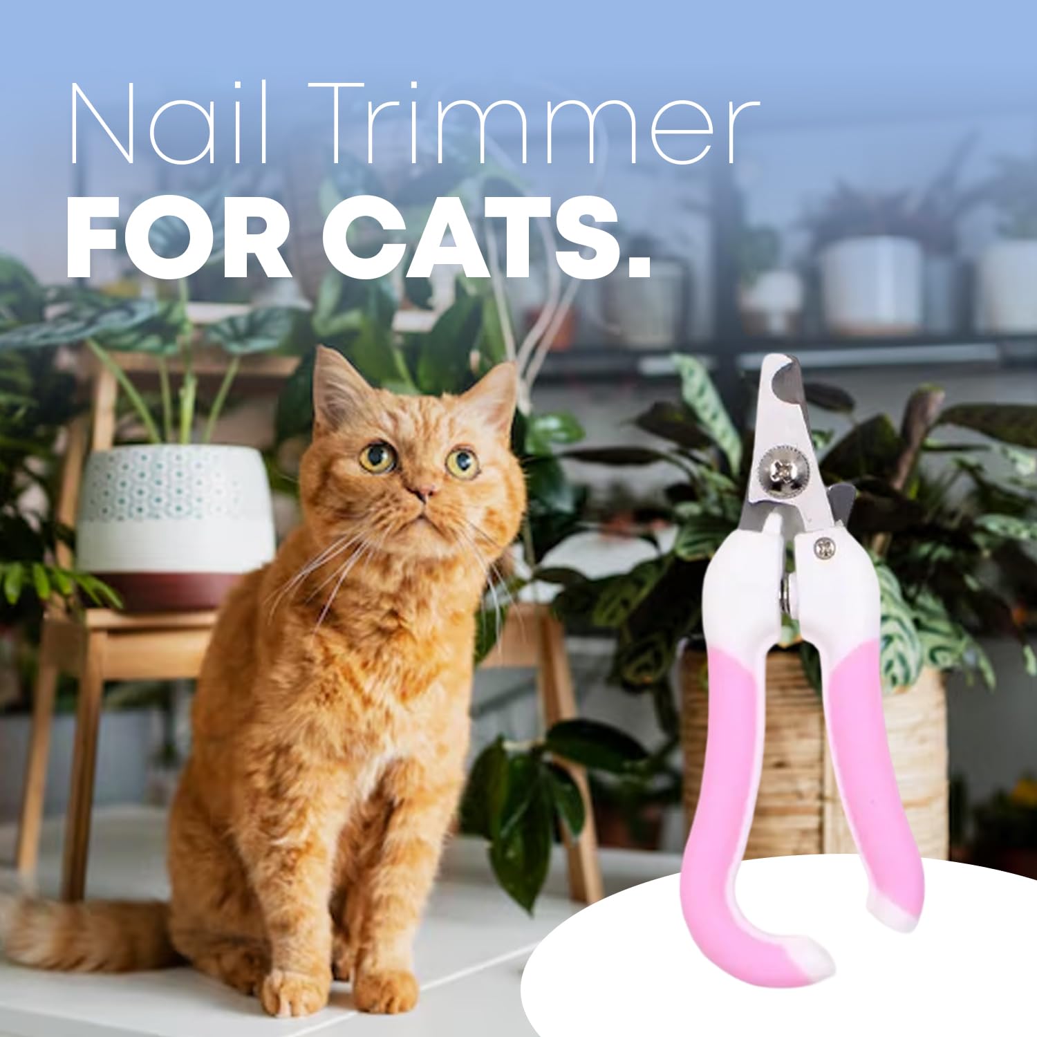 Auto Pet Nail Clipper – Low Noise Grooming Tool